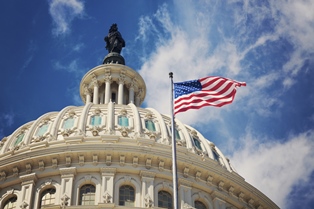 Government Small