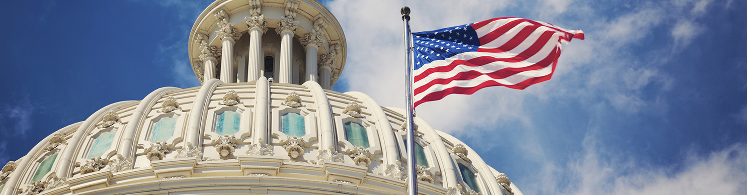 Government Cropped