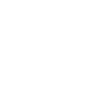 phone-support